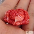 纯天然台湾momo红珊瑚 牡丹花雕刻件 微信chuanshi99 有机红宝石...