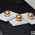 vip订购完 南洋产地菲律宾海域 极品完美皮色金珠子 可排队预定