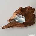 翡翠天鹅