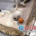 黄螺吐出龙珠 重达42.7克拉直径1.8厘米价值不菲(转)