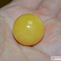 波罗的海纯正鸡油黄24MM大珠子