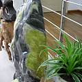 山形玉石