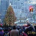 纽约圣诞树随拍