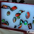 加拿大斑彩石—稀有的有机宝石