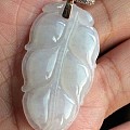 小白救教，挂件是什么种的？