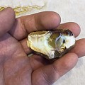 这两块料子应该叫什么蜡呢