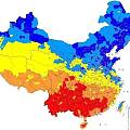 中国人身高区域图