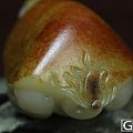 红油皮白玉籽料长寿龟把件