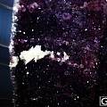 各位专家，帮忙看看这个紫水晶洞怎么样？