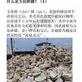 砗磲小知识整理分享（一）