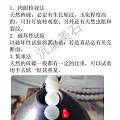 砗磲小知识整理分享（一）