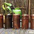 老挝红酸枝旅行茶叶罐做工精细纹理细腻保密性好