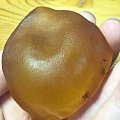 新春第一赌--开门大吉