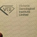 跪求国际证书VGI证书的背景和详细资料。谢谢