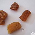 蜜蜡原石，5-10克规格，波兰海漂料，原矿，价低