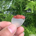 580元南红冰飘鸿运当头