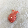 红珊瑚小鱼