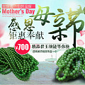 【品尚】啊北家母亲节钜惠：两款碧玉项链700包邮，抢拍
