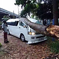 兰卡暴雨