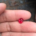 早期收藏的红尖