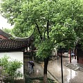 下雨天，美人蕉和七里山塘街更配哦