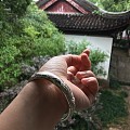 下雨天，美人蕉和七里山塘街更配哦