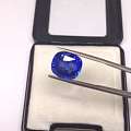 想买一个大的蓝宝石收藏，哪个更合适？