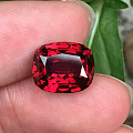 新收的5.84ct缅甸红尖晶，火彩非常好！
