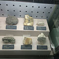 地质博物馆里的石头们