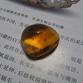 天然琥珀蜜蜡原石 昆虫珀 虫珀 内含两个昆虫 2#