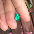 天气炎热，来颗哥伦比亚穆佐绿凉爽下