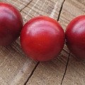 红樱桃1.2小叶紫檀手串