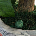 精品绿松石。