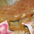 各位老师给看看这是块什么玉石？？