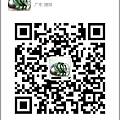 【宝园翡翠】微信号：13433165465、新品优先上架在微信