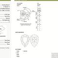 【客订款】0.33CT 粉钻戒指 带GIA证书 尚家经典款双V净度好无黑！