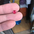 小美尖 挺可爱