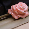 momo珊瑚玫瑰花