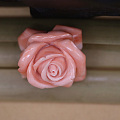 momo珊瑚玫瑰花