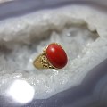 18K金镶嵌红珊瑚戒指 6.06克 【附国检证书】