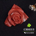 红珊瑚momo牡丹花^_^