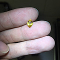 切的好别致
