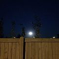 加拿大 Edmonton 的月亮还是比较圆的！