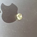 闪亮金绿宝石 胜过黄蓝宝石