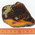 波罗的海蜜蜡原石，大家帮忙看看品质怎么样？