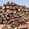 红木家具树材境外资源分布简介