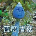 这两天香菇，蓝瘦朋友圈一堆堆