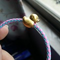 一只鸭子遗世而独立