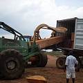 代替东南亚木材的非洲材正悄悄占领中国木材市场