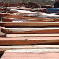 缅甸明年将取消木材禁伐令？若真实，将可能减缓红木价格上涨的幅度